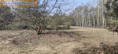 Działka Sprzedaż Nowy Lubiel